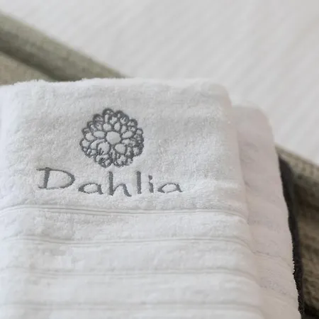 Ivi Mykonean Mimoza * Ornos (Mykonos)